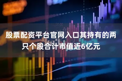 股票配资平台官网入口其持有的两只个股合计市值近6亿元
