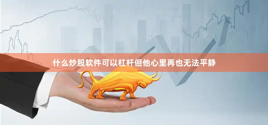 什么炒股软件可以杠杆但他心里再也无法平静